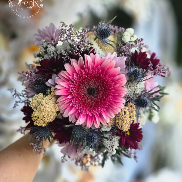 511537240_17954454455971359_6876388615738395943_n